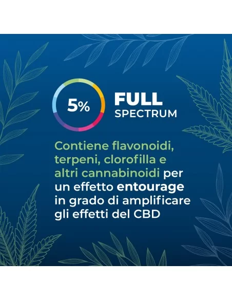 Olio CBD 5% secondaria Olio CBD 5% secondaria