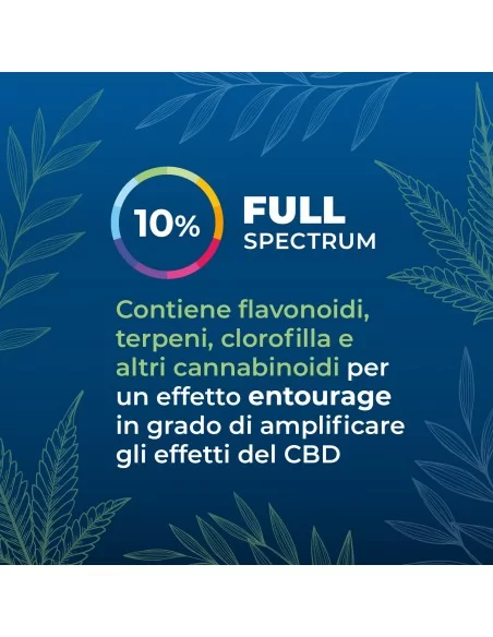 Olio CBD 10% secondaria