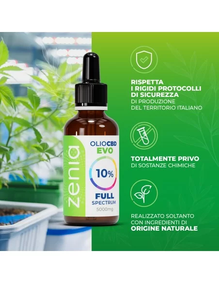Olio CBD 10% secondaria Olio CBD 10% secondaria