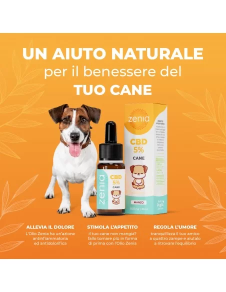 Olio CBD cane 5% secondaria 10ml Olio CBD cane 5% secondaria 10ml