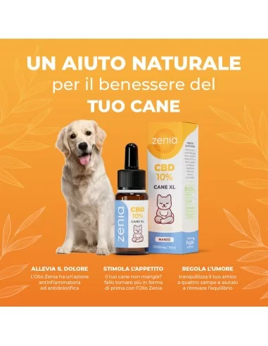 cbd dog oil xl secondary 10ml cbd dog oil xl secondary 10ml