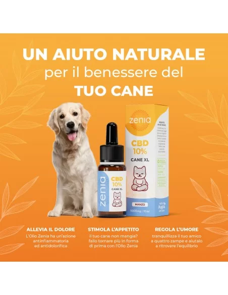 olio cbd cane xl secondaria 10ml olio cbd cane xl secondaria 10ml