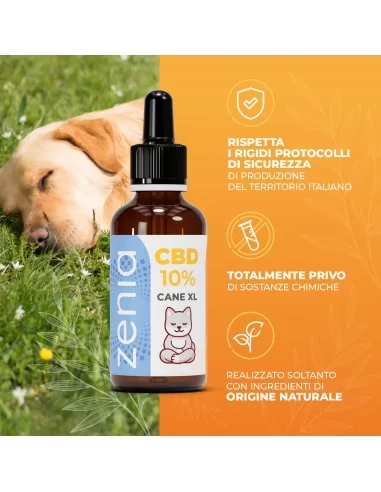 Olio CBD 10% 10 ml Olio CBD 10% 10 ml