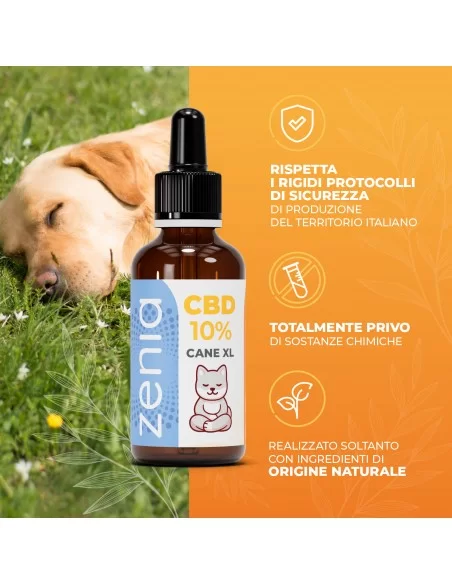 Olio CBD 10% 10 ml Olio CBD 10% 10 ml