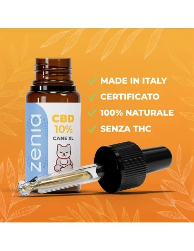 cbd dog oil xl secondary cbd dog oil xl secondary