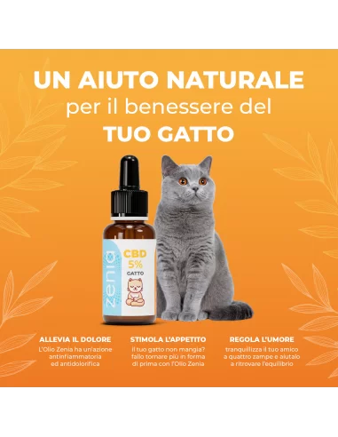 Olio CBD 10% 10 ml Olio CBD 10% 10 ml