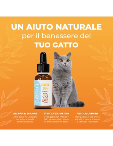 Olio CBD 10% 10 ml Olio CBD 10% 10 ml