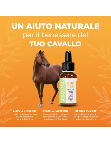 Olio CBD cavallo 40% secondaria Olio CBD cavallo 40% secondaria