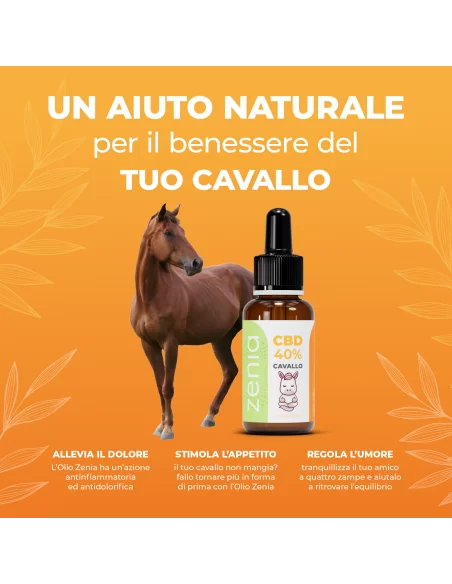 Olio CBD cavallo 40% secondaria Olio CBD cavallo 40% secondaria