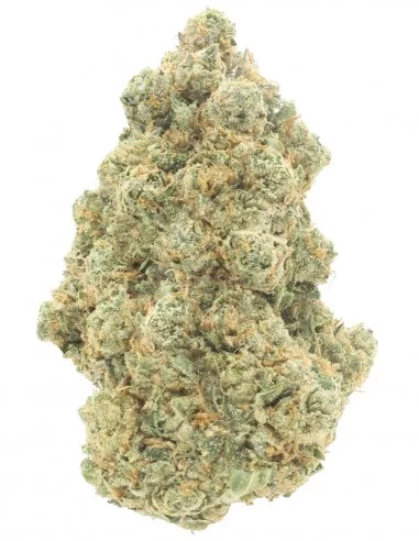 ak47 infiorescenze ak47 infiorescenze