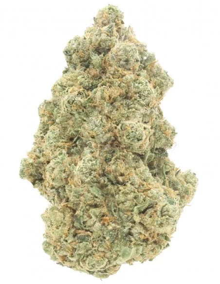 ak47 infiorescenze ak47 infiorescenze