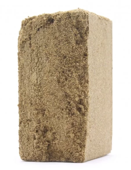 Acti-kief CBG Acti-kief CBG