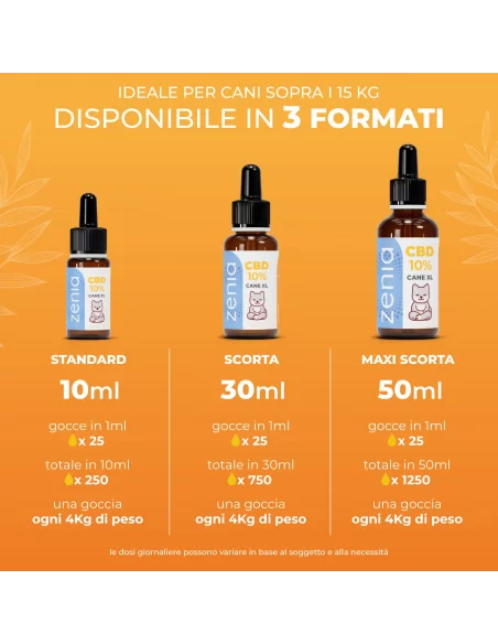 olio cbd canel xl secondaria olio cbd canel xl secondaria