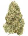 gelato infiorescenza