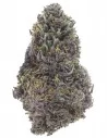 purple queen