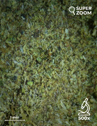 acti kief zoom 500x acti kief zoom 500x