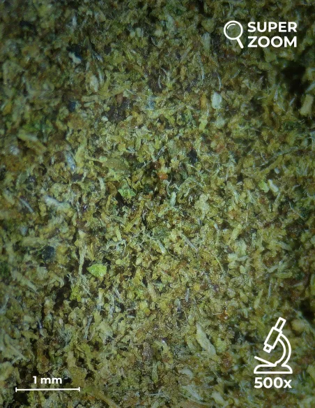 acti kief zoom 500x acti kief zoom 500x