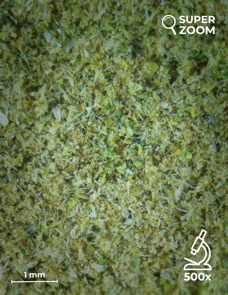 kief cbd zoom 500x kief cbd zoom 500x