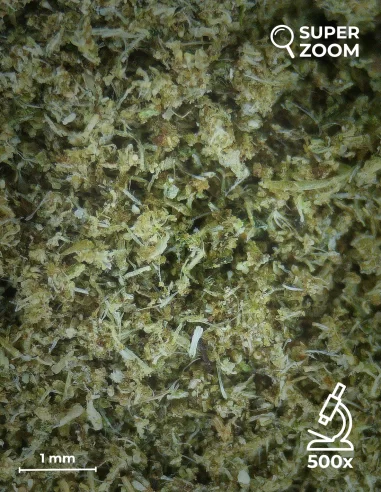 kief cbg zoom 500x kief cbg zoom 500x