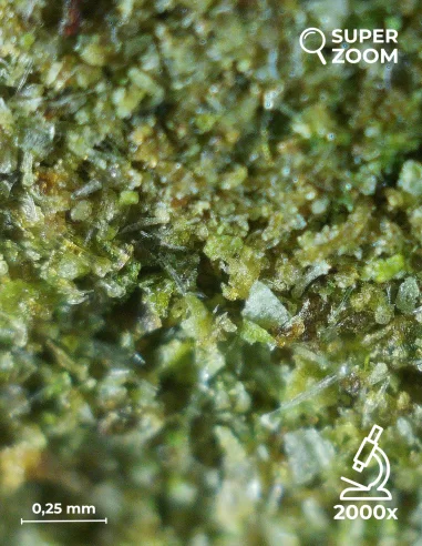 libanese zoom 2000x libanese zoom 2000x