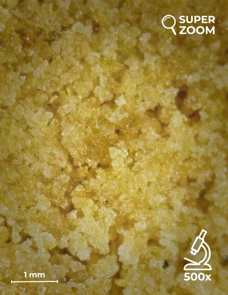 super lemon dry zoom 500x super lemon dry zoom 500x