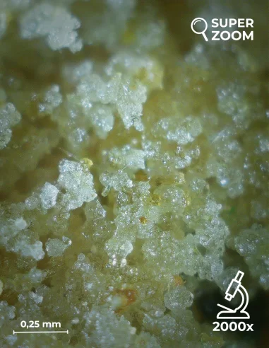 super lemon dry zoom 2000x super lemon dry zoom 2000x