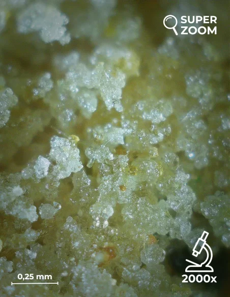 super lemon dry zoom 2000x