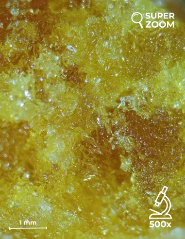 Crumble cbg zoom 500x Crumble cbg zoom 500x