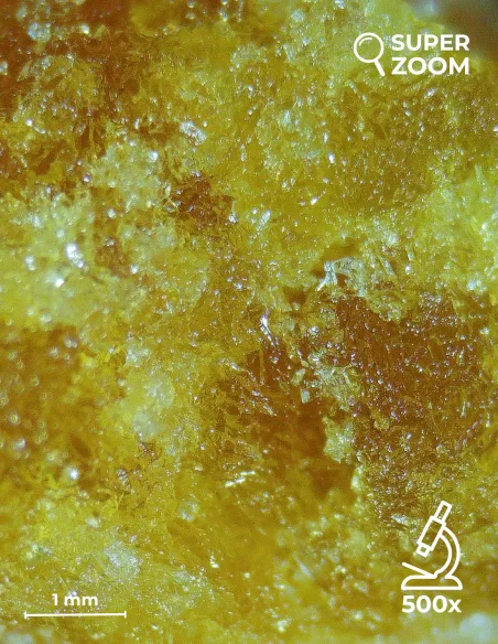 Crumble cbg zoom 500x Crumble cbg zoom 500x