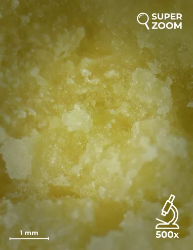 sticky honey zoom 500x sticky honey zoom 500x
