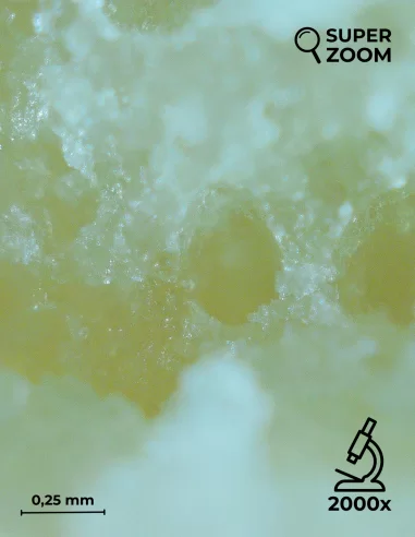 sticky honey zoom 2000x sticky honey zoom 2000x