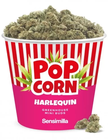 harlequin popcorn harlequin popcorn