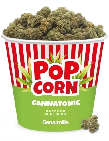 cannatonic popcorn