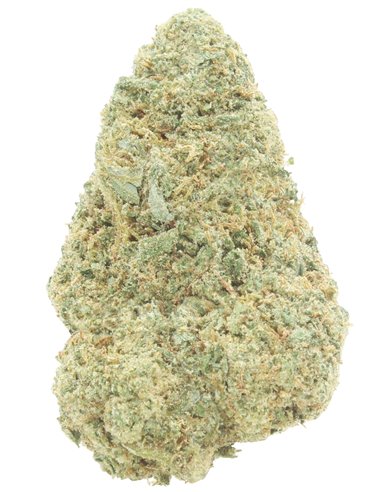 zkittlez zkittlez