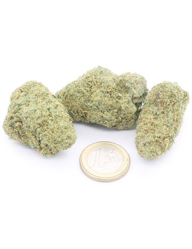 zkittlez zkittlez