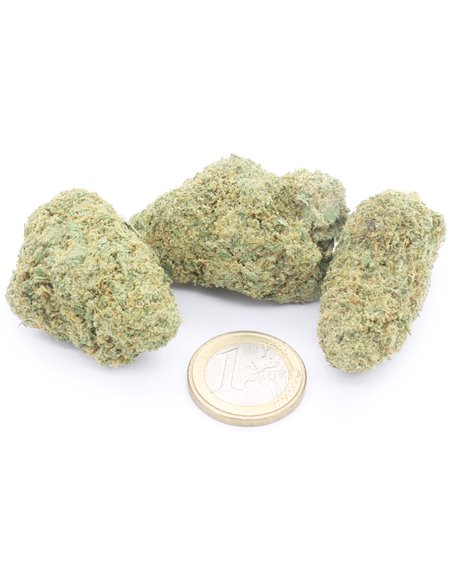 zkittlez zkittlez