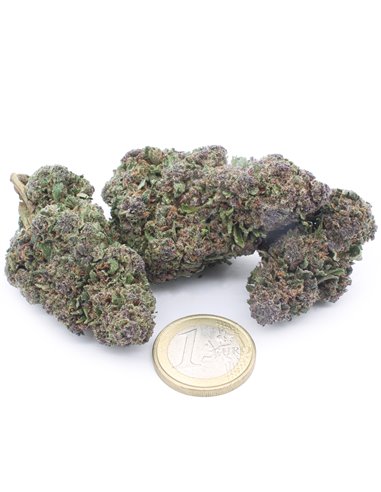 OG Kush OG Kush
