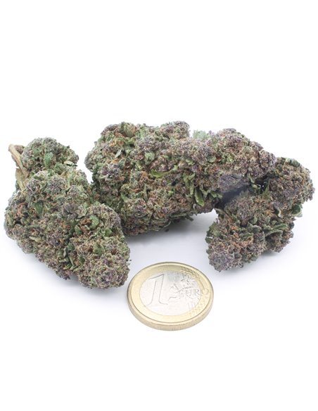 OG Kush OG Kush