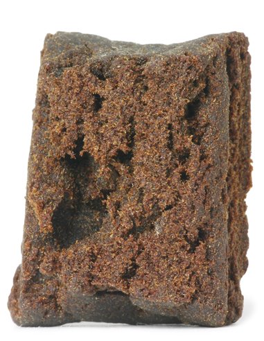 choco pongo
