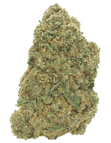 amnesia haze amnesia haze
