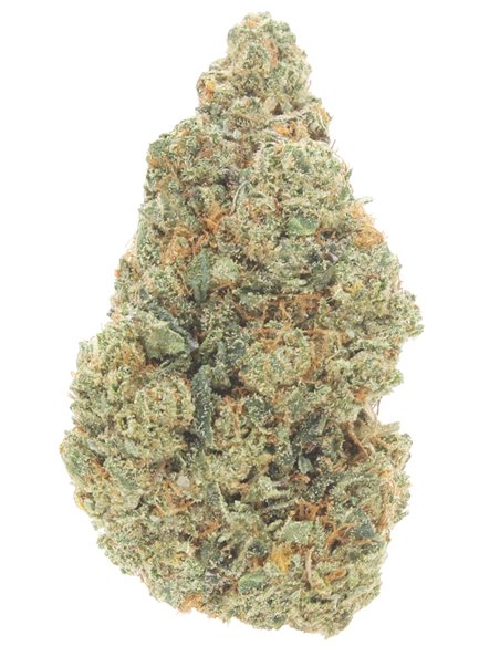 girl scout cookies girl scout cookies