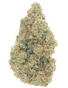 copy of Gelato 41