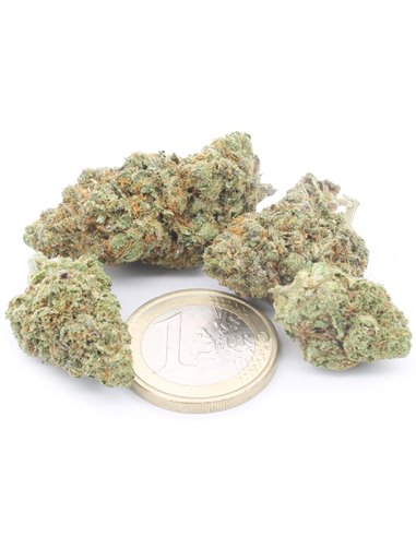 girl scout cookies girl scout cookies
