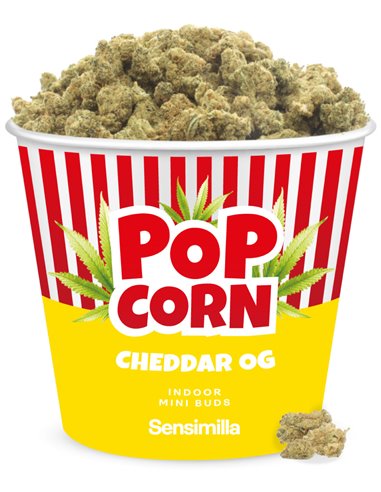 Cheddar Popcorn Cheddar Popcorn