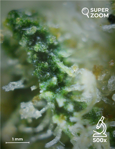 northern lights northern lights