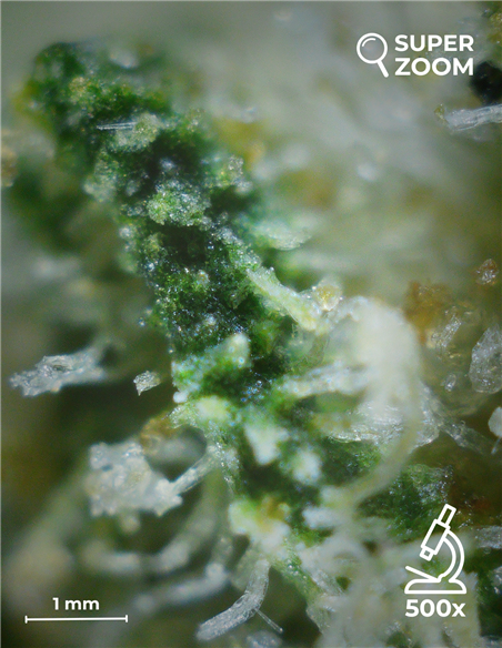 northern lights northern lights