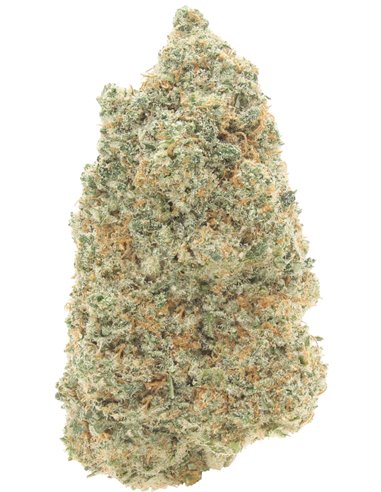 northern lights northern lights