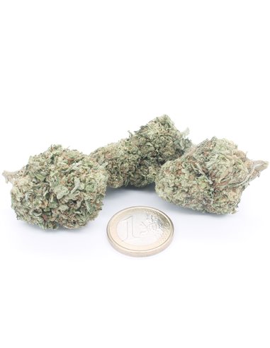super skunk super skunk