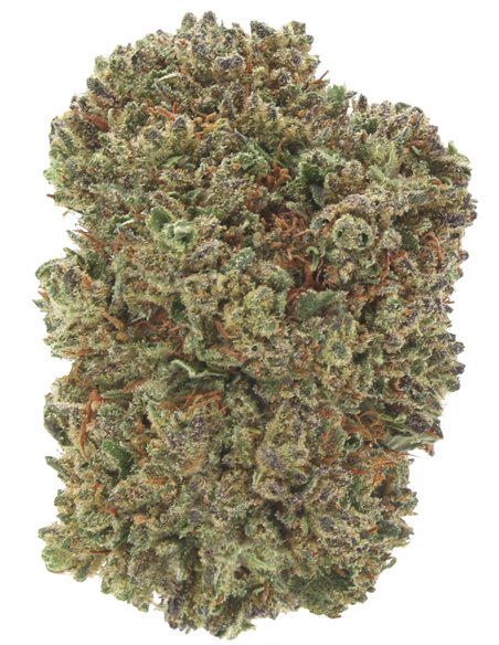 CRITICAL CRITICAL