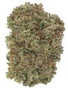 CRITICAL